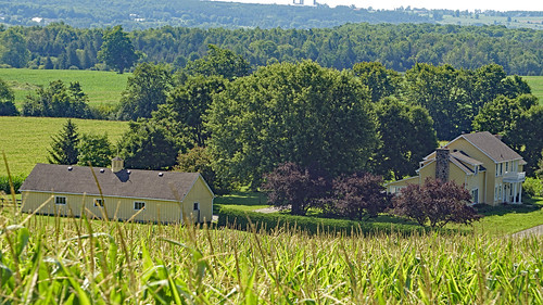 farm agriculture corn ontario barn trees landscape sony sonya7ii sonyfe24240mm