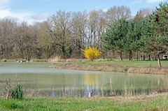 Neuillay-les-Bois (Indre) - Photo of Méobecq