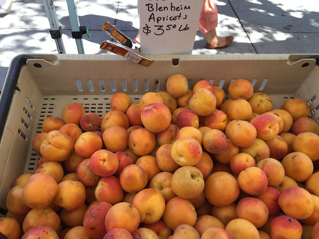 Organic Blenheim Apricots