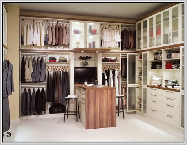 Pull out Rack Ideas For Your Closet