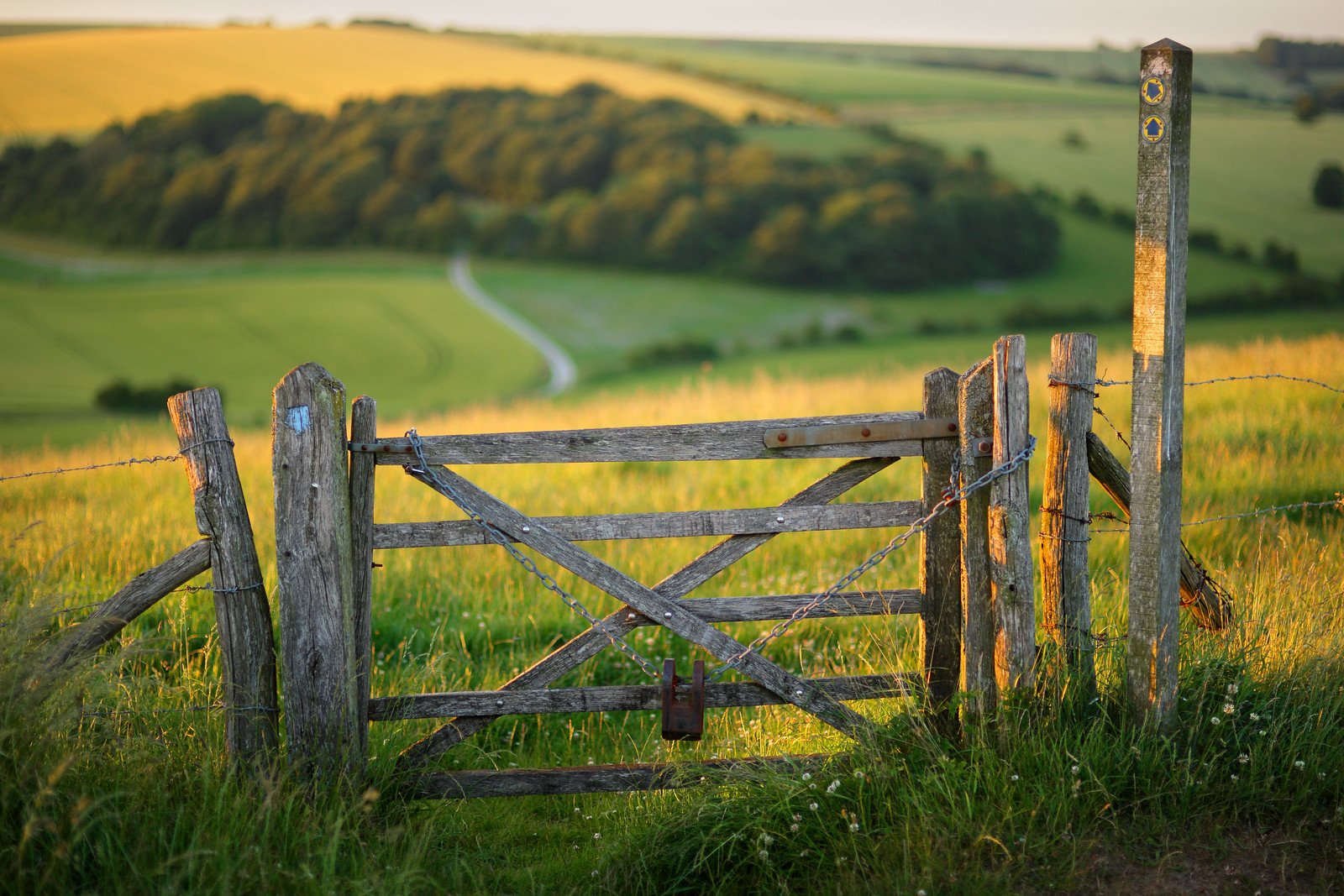 South Downs Gate - 85mm f1.4