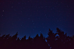 Night sky over Wheatley River, Prince Edward Island