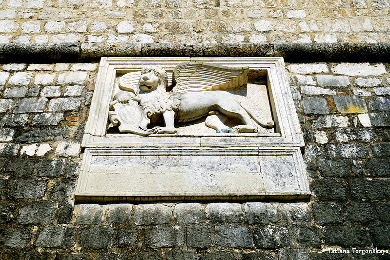 Венецианский лев возле Морских ворот Котора