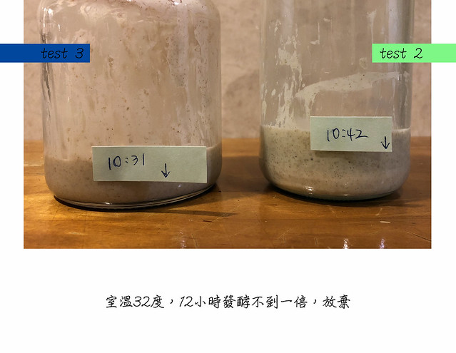 無花果酵母種test2c-test3-終