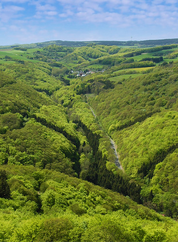 2012 eifel forest wald ys10popularity green grün 2000views favoritsbernd panoramio321461072455290