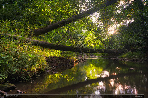 czechrepublic landscape forest trees sunset sun summer green evening drevnice river