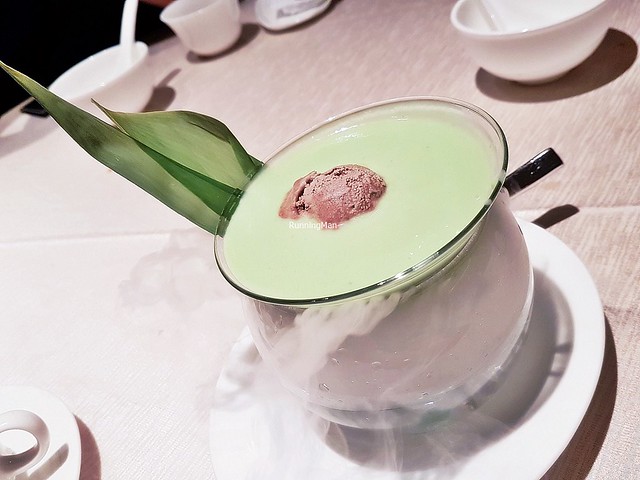 Chilled Puree Of Avocado With Chocolate Ice Cream