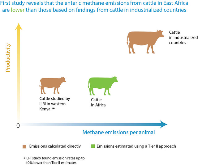 Science helps tailor livestock-related climate change mitigation strategies  in Africa | International Livestock Research Institute