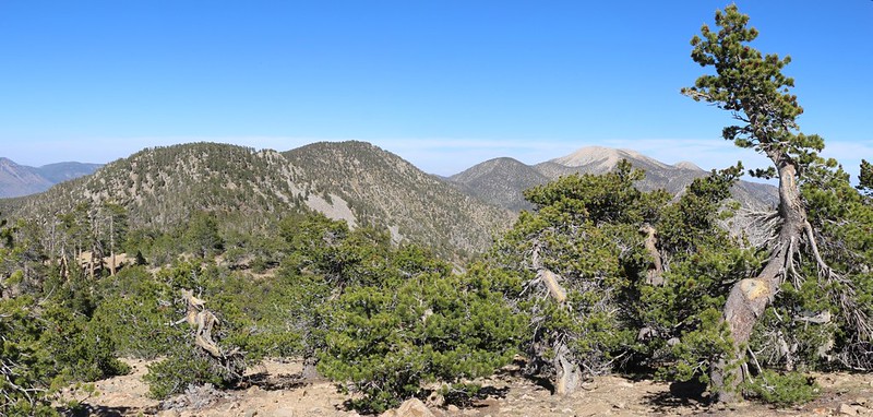 Looking east at six of the nine peaks in the San Gorgonio range