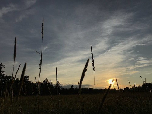 photostream summer firstdayofsummer iphone hay grass sky sunset sun fieldofgrass litchfield ct clouds