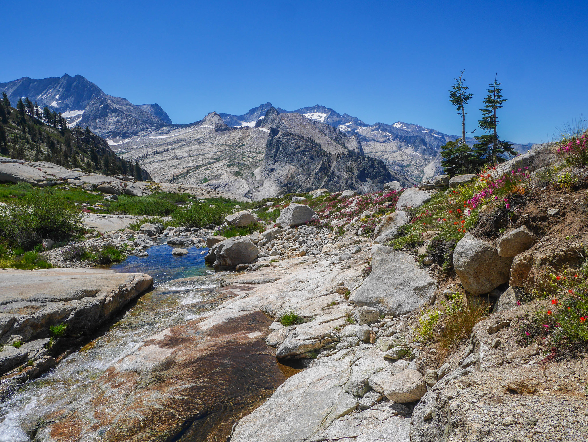 Flower gardens where Elizabeth Pass trail crosses Lonely Lake outlet