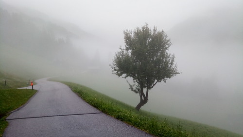 alpen mountains alps orange green fog mist nebel wolken rain regen grün weis white österreich austria robbbilder