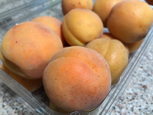Fresh Blenheim Apricots
