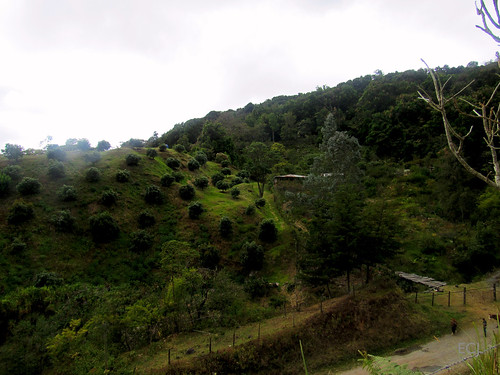 nubes montaña colinas ladera pendiente caminata vegetación campo rural agricultura tronco cercado
