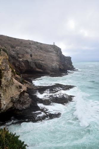 lighthouse coast seacliffs otago otagopeninsula newzealand