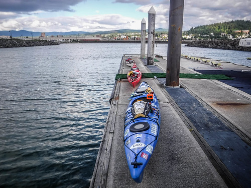 Bellingham Harbor with Moondance Kayaks-40