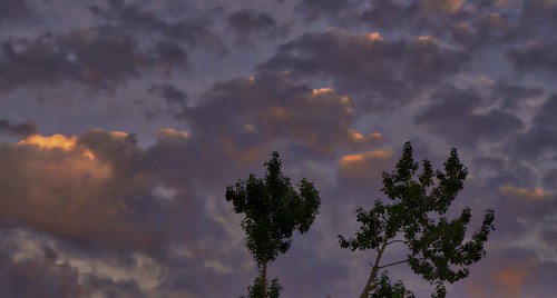 landscape tree sky cloud sunset