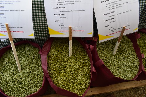 Green grams on display at a farmers marketing forum in Kitui county