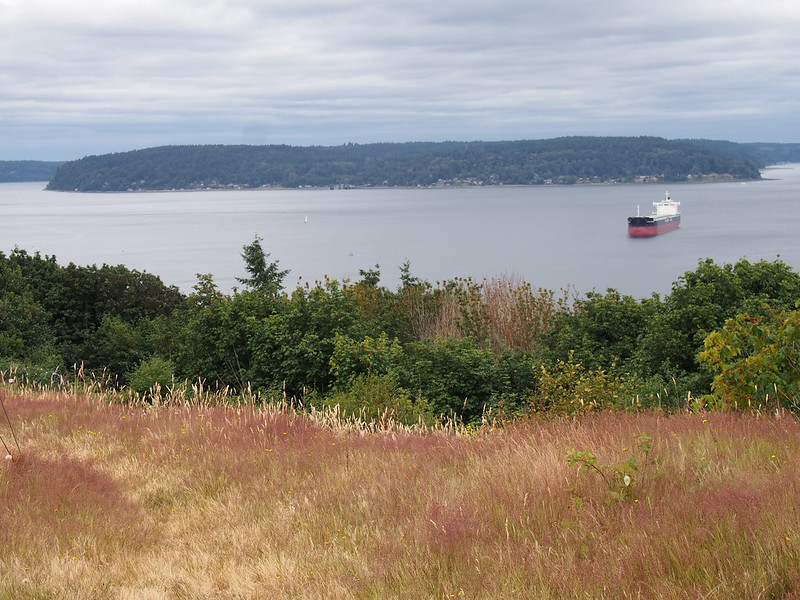 Vashon and Container Ship