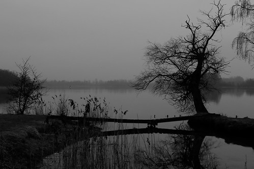 blackandwhite svartvit monochrome mono spring mist eos7dmkii jönköping lake tree water boat
