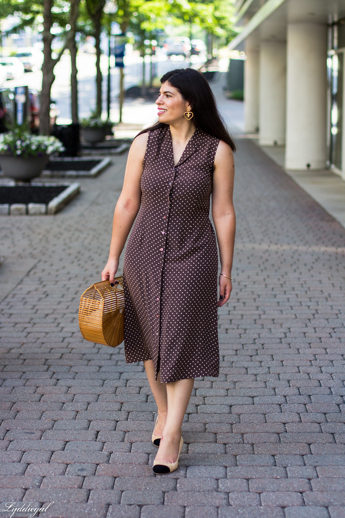 Brown polka dot midi dress, toe cap heels, bamboo bag-2.jpg