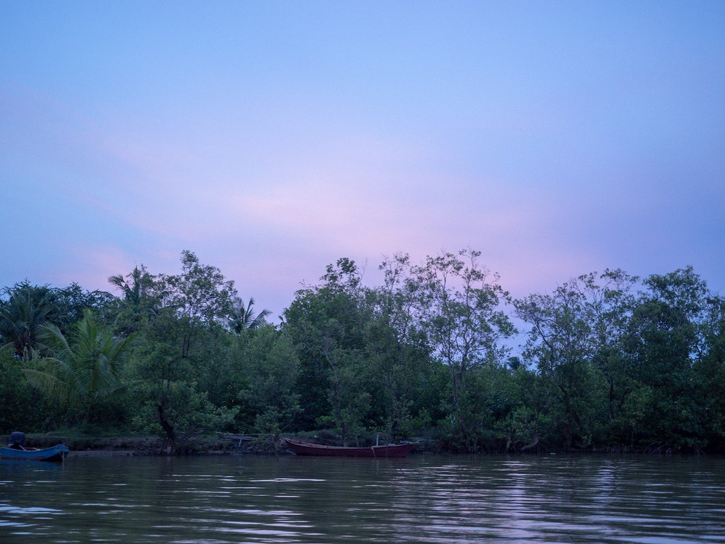Kep mangrove