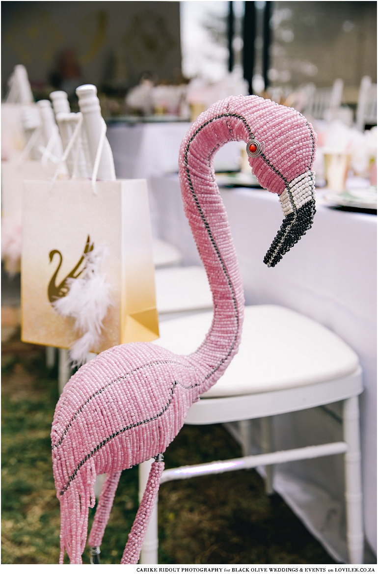 Flamingo and swan party