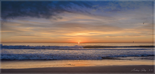 sunrise earlyinthemorning early exploration urban waterways beachscape beachshore seashore seascape sea clouds colors outdoors walking sun seagull