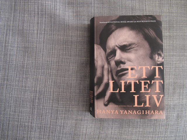 ett litet liv/a little life, by hanya yanagihara