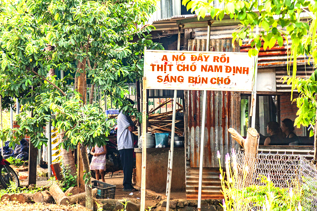 THIT CHO NAM DINH--Ea Kly