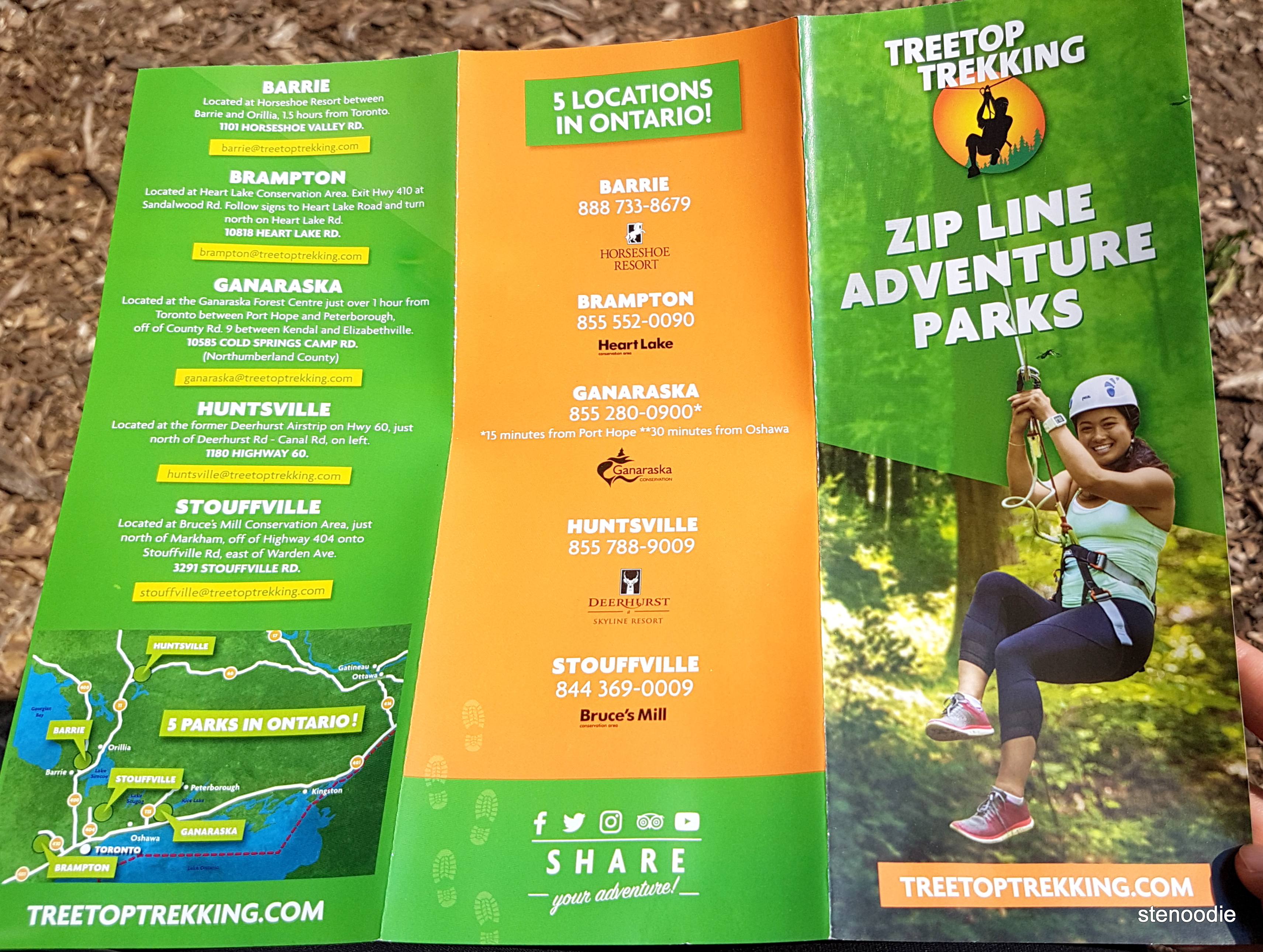 Treetop Trekking pamphlet