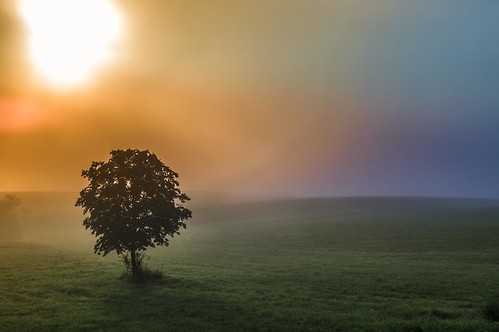 mirnskadolina dolenjska fog mistique mist colors dreamscape sunrise trees
