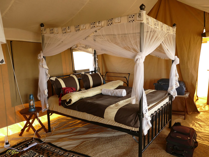 Kenya - Tanzania (Lodge 1)