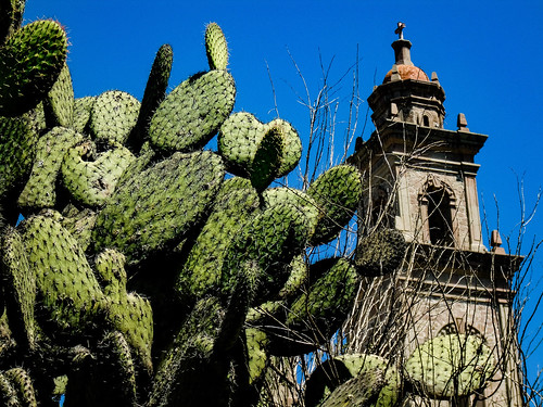 church nopal cactus mexico tlaxco clear sky blue tlaxcala iglesia cielo azul