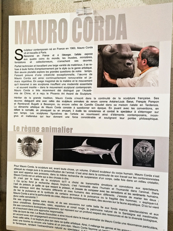 Expo Mauro Corda
