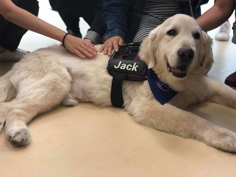 Jack, one of our Professor Paws, who sadly passed away earlier this week