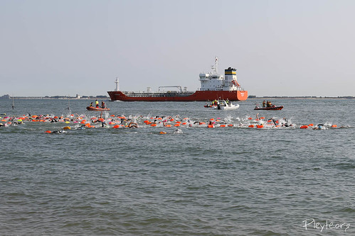 Zeezwemtocht: Vlissingen - Zoutelande<br/>54 foto's 