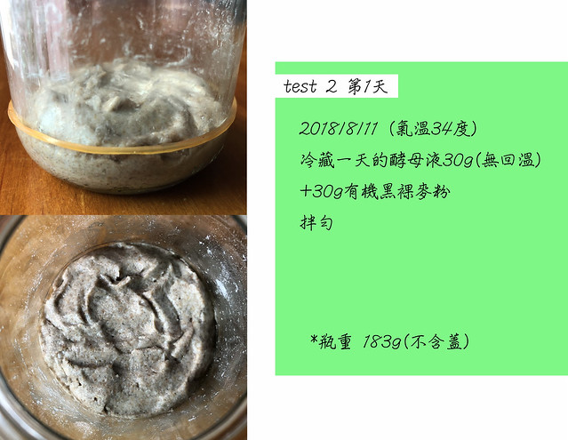 無花果酵母種test2