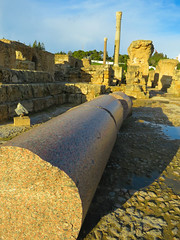 Baths of Antonius (Carthage) #31