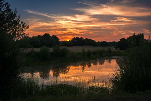 thurnham summer nikon d7100 water maidstone reflections lake tamron1024f3545diiivchld bearstedgolfcourse kent sunset clouds