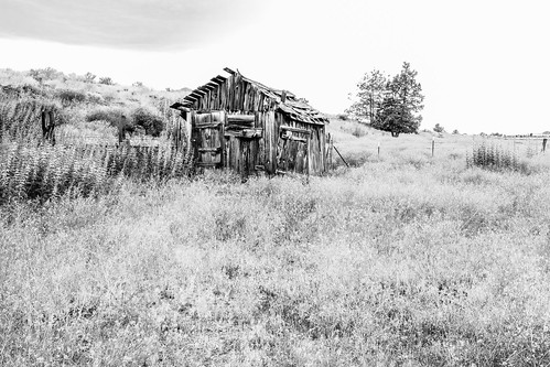 solemn d850 landscape bushes brush serious quiet california abandoned barn monochrome lonely tree shack scary forgotten farm blackwhite creepy tulelake unitedstates us