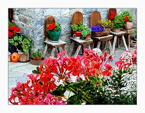 france savoie stmartindebelleville stmarcel labouitte chalet chairs rustic flowers decoration balcony planter geraniums colourful street frame flowerpots baskets panlids