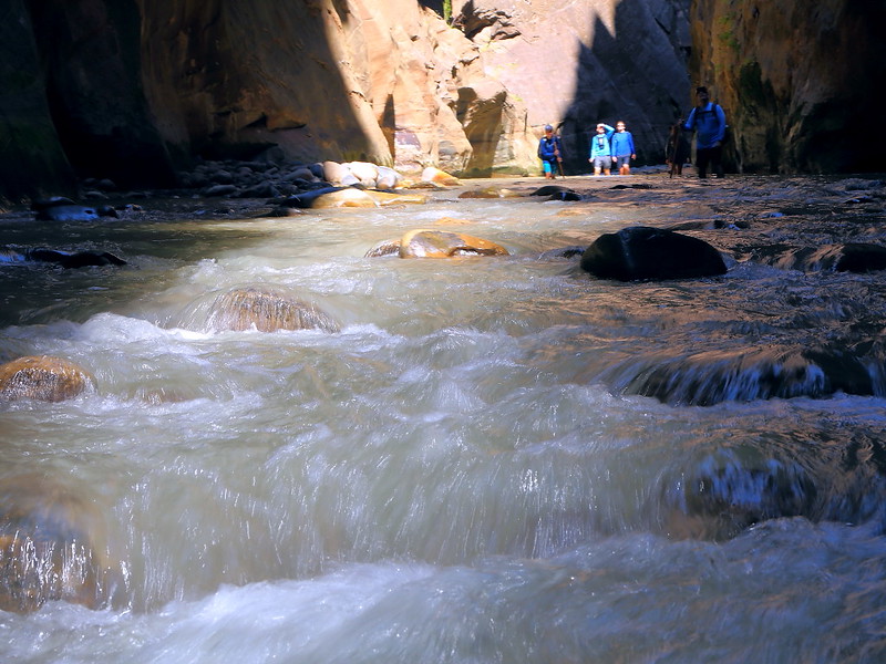 IMG_2125 The Narrows, Zion National Park