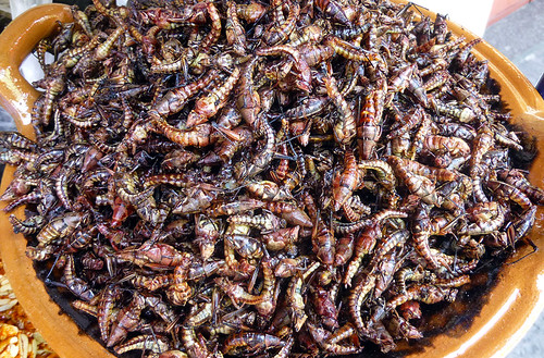Chapulin (grasshopper) snacks for sale in Puebla, Mexico