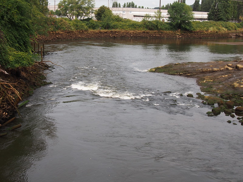 Green River Mini-Rapids