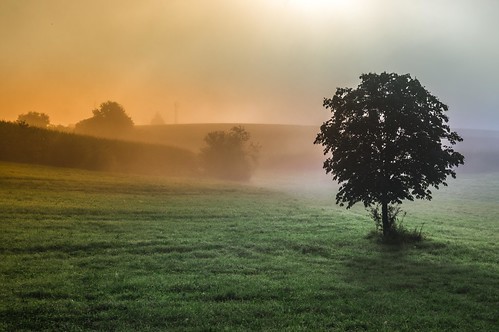 mirnskadolina dolenjska fog mistique mist colors dreamscape sunrise trees