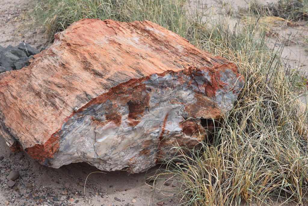 Petrified Forest National Park, Crystal Forest