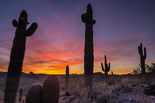 arizona desert hiking karl sunset morristown unitedstates