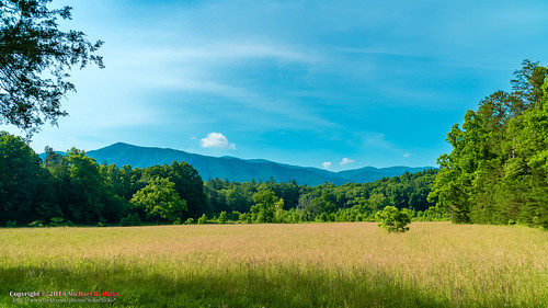 cadescove gsmnp hdr landscape lawsoncrossroad nationalpark nature sonya6500 sonyimages tn tennessee townsend usa unitedstates history outdoors exif:aperture=ƒ80 exif:lens=epz18105mmf4goss geo:country=unitedstates exif:make=sony geo:location=lawsoncrossroad geo:city=townsend exif:focallength=18mm geo:state=tennessee geo:lat=35605733333333 exif:isospeed=200 geo:lon=8383255 camera:make=sony camera:model=ilce6500 exif:model=ilce6500