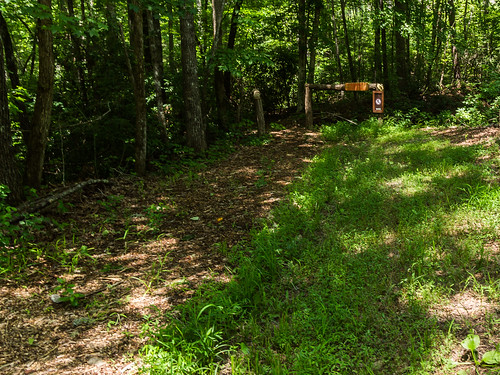 Appalachian Lumber Trail trailhead